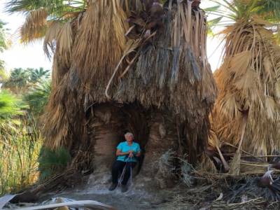 palms springs, californie,usa