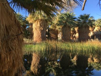 palms springs, californie,usa