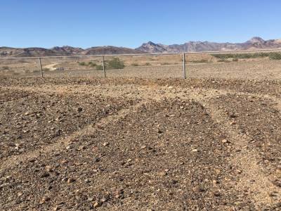 autre photo de dessin laissé par les indiens dans le désert en arizona pres de quartsize