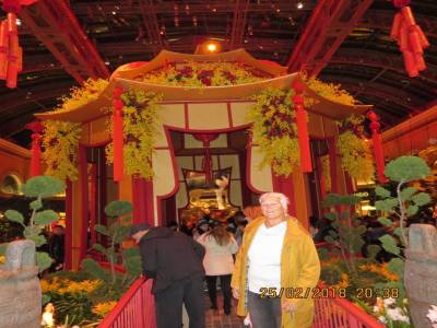 las vegas, la strip, les casinos, névada,usa