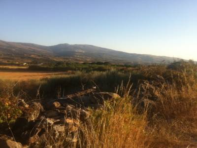 Dans le parc naturel de la Serra da Estrela