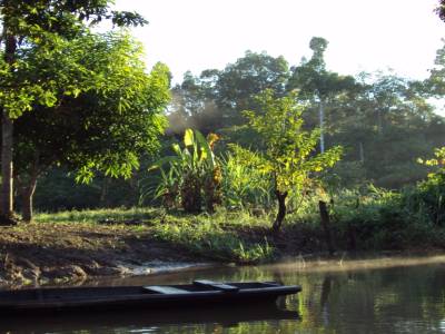 L'amazonie