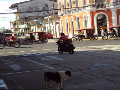 Iquitos