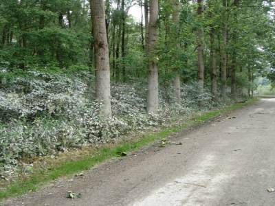Après inondation