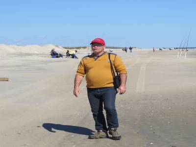 ile assateague,virginie,usa, octobre 2019