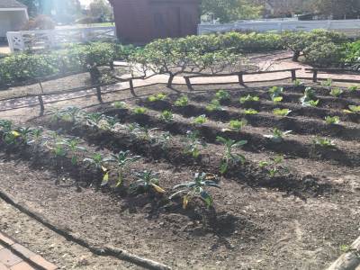 colonial Williamsburg ,virginie, novembre 2019