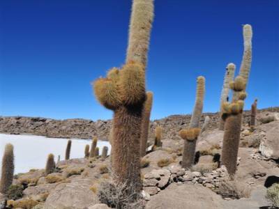 Salar de Uyuni