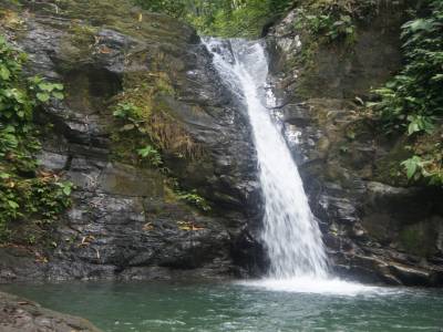DSC04521