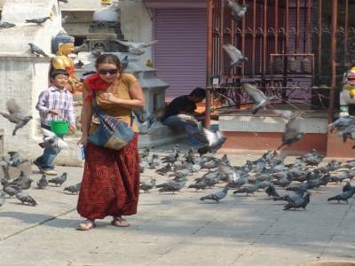 Jess qui flippe les pigeons de Kathmandu