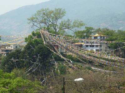 Derriere la stupa Svayambunath, le parc et  tout ses petits fanion de prieres