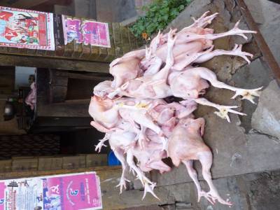 Zoomez, y'a pas que des poulets ???