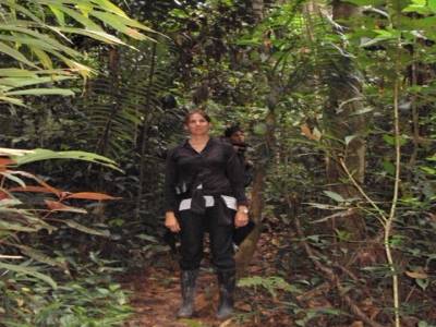dans la jungle