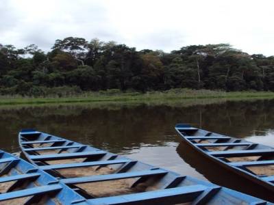 Lac amazonien