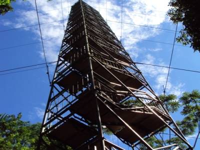 tour de 36 m pour observer la canopée