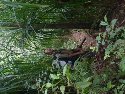 Dans la jungle...