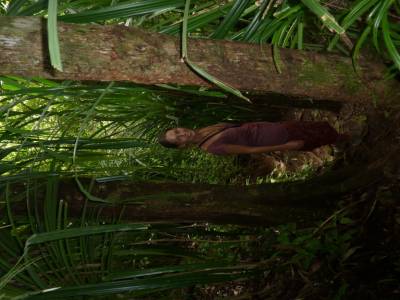 La jungle en redescendant du Rinjani