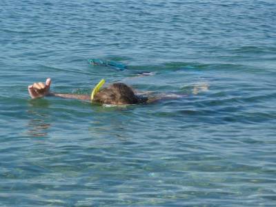 En pleine observation des fonds marins