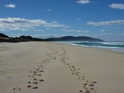 Plage camp Elim