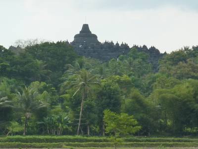 Borobudur vu des rizieres
