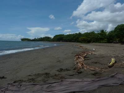 Plage de sable noir a lovina 