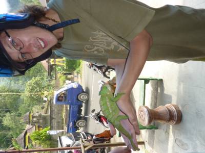 C'est tout doux et tout tranquille un cameleon