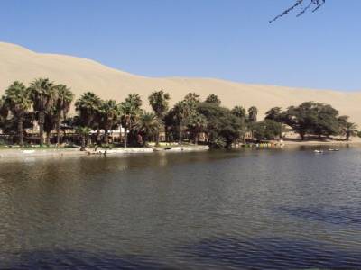 Oasis de Huacachina