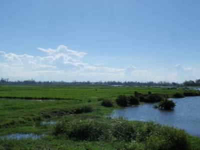 Rizieres et riviere...