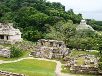 Le site maya impressionant de Palenque