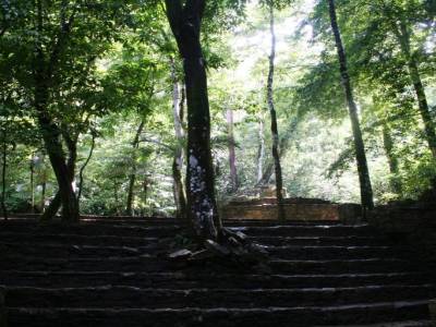 Le site archeologique de Palenque, illumine par le soleil