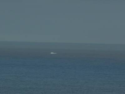 Ca c'est sur, c'est un jet de baleine