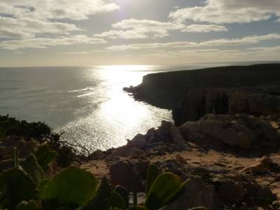 Vue sur l'ocean Austral