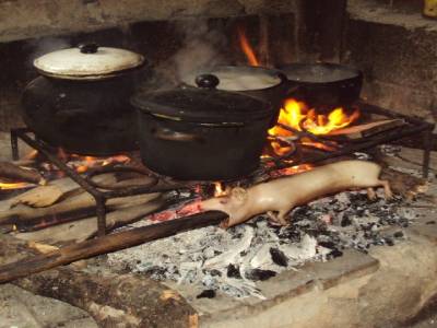 Notre petit cochon d'Inde rôti !