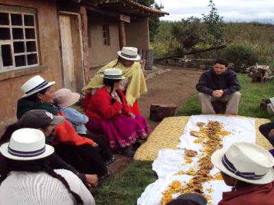 Repas étalé sur la nappe: légumes,patates, cuy, poulet