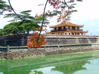 Soo Nice...!