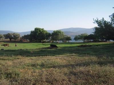 Heraklea