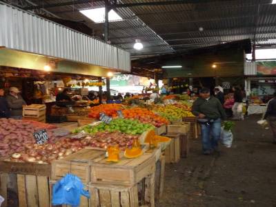 Marche Vega Central