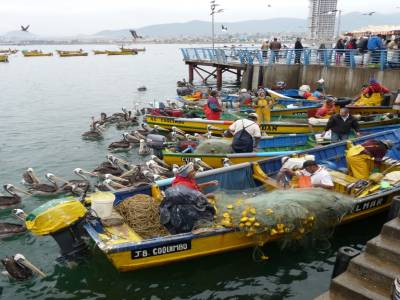 Port de peche de Coquimbo