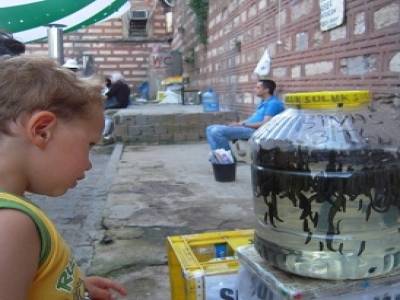 Marché aux animaux, sangsues