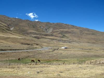 Cafayate