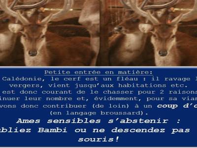 coup dchasse 1