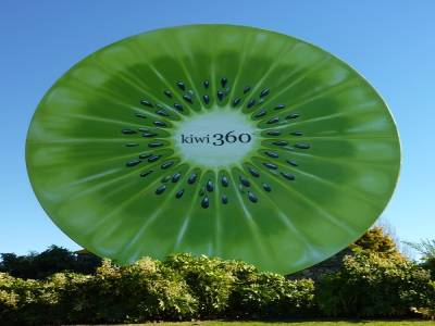 Le kiwi géant