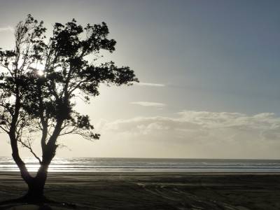Ninety Mile Beach