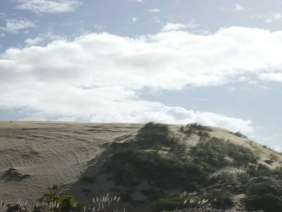 Ninety Mile Beach