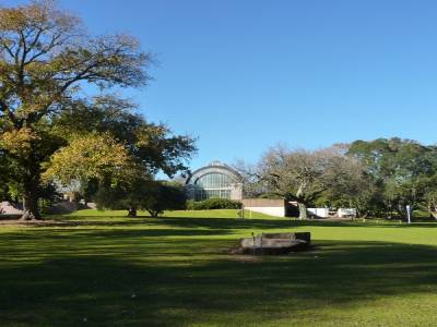 Auckland Domain