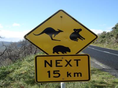 Wilson's promontory