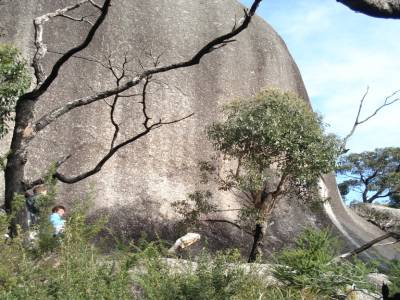 Wilson's promontory