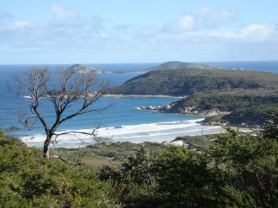 Wilson's promontory