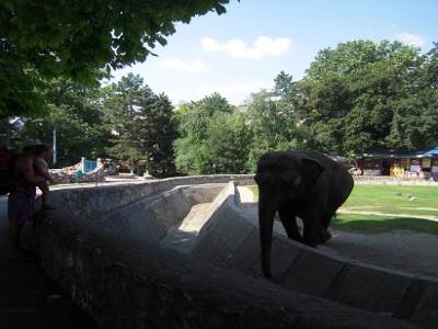 Zoo de Belgrade