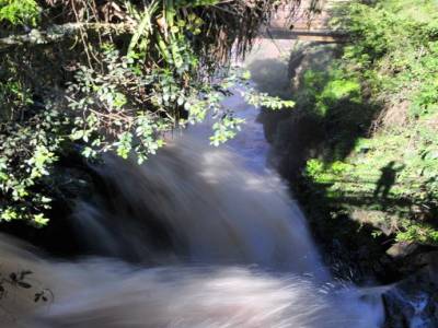 Iguazu
