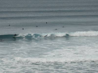Surfers on Bells beach